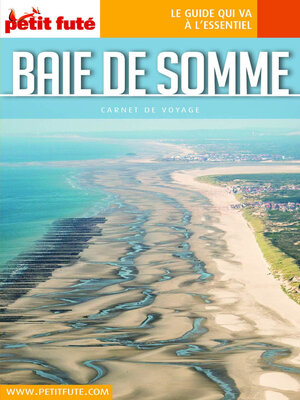 cover image of BAIE DE SOMME 2023 Carnet Petit Futé